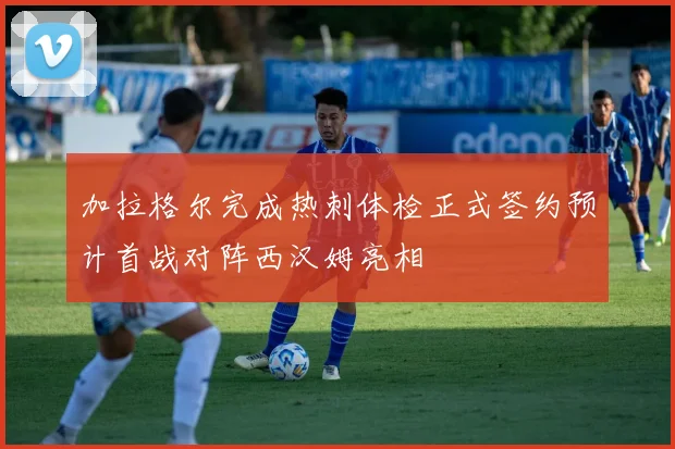 加拉格尔完成热刺体检正式签约预计首战对阵西汉姆亮相